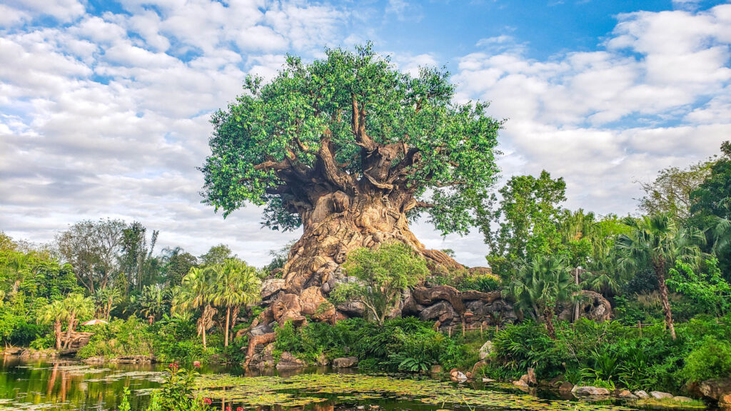 An Instagrammer’s Guide to Animal Kingdom